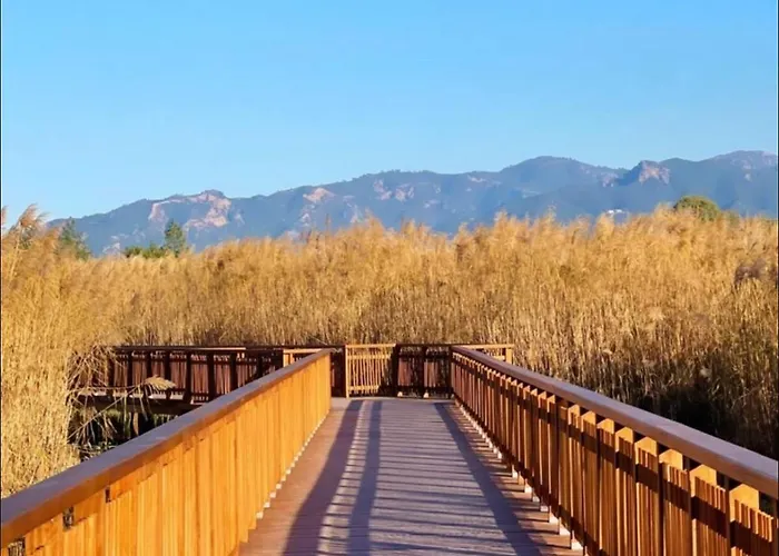 Sophilia Garden Escape Patras